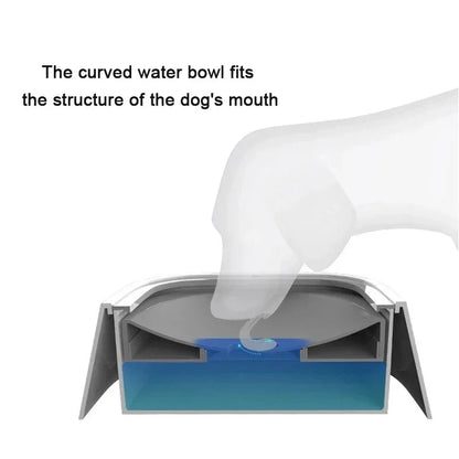 Floating Dog Bowl - Clean, Spill-Free Water | Caprioli 