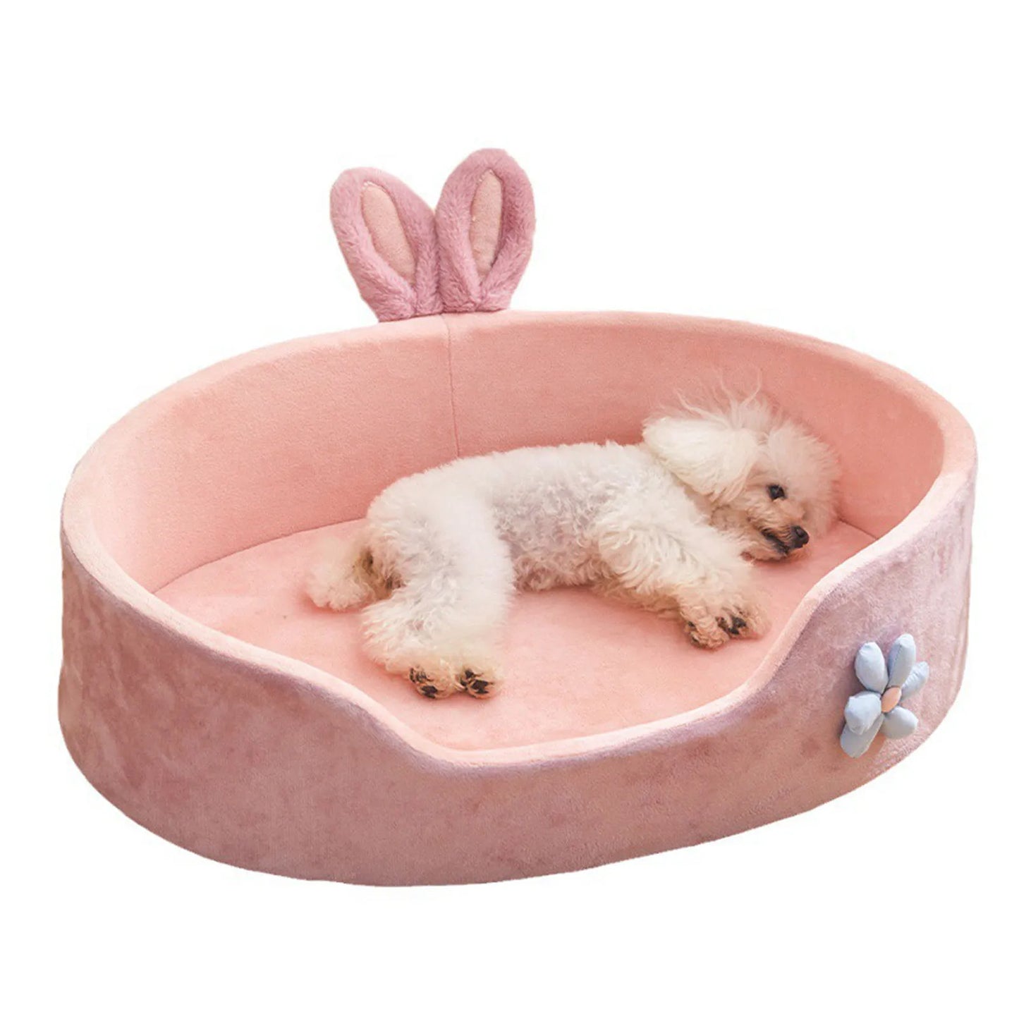Removable and Washable Pet Bed - Comfort in All Seasons | Caprioli 