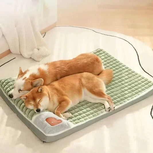 Washable Orthopedic Pet Bed - Premium Comfort | Caprioli 