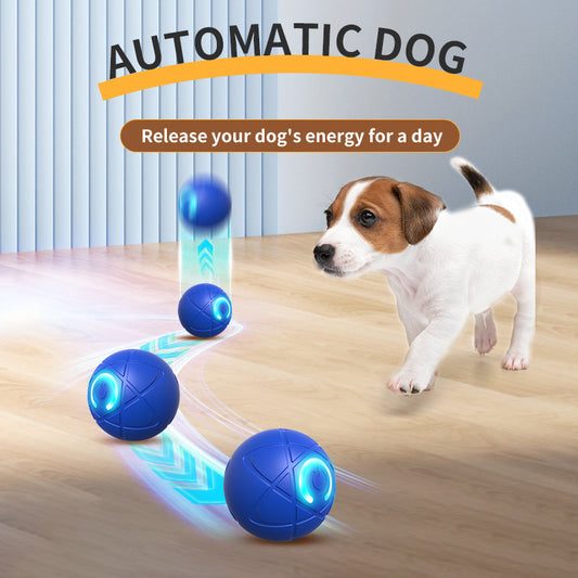 Bola Interativa Geométrica para Cães Pequenos - Inovadora e Recarregável | Caprioli