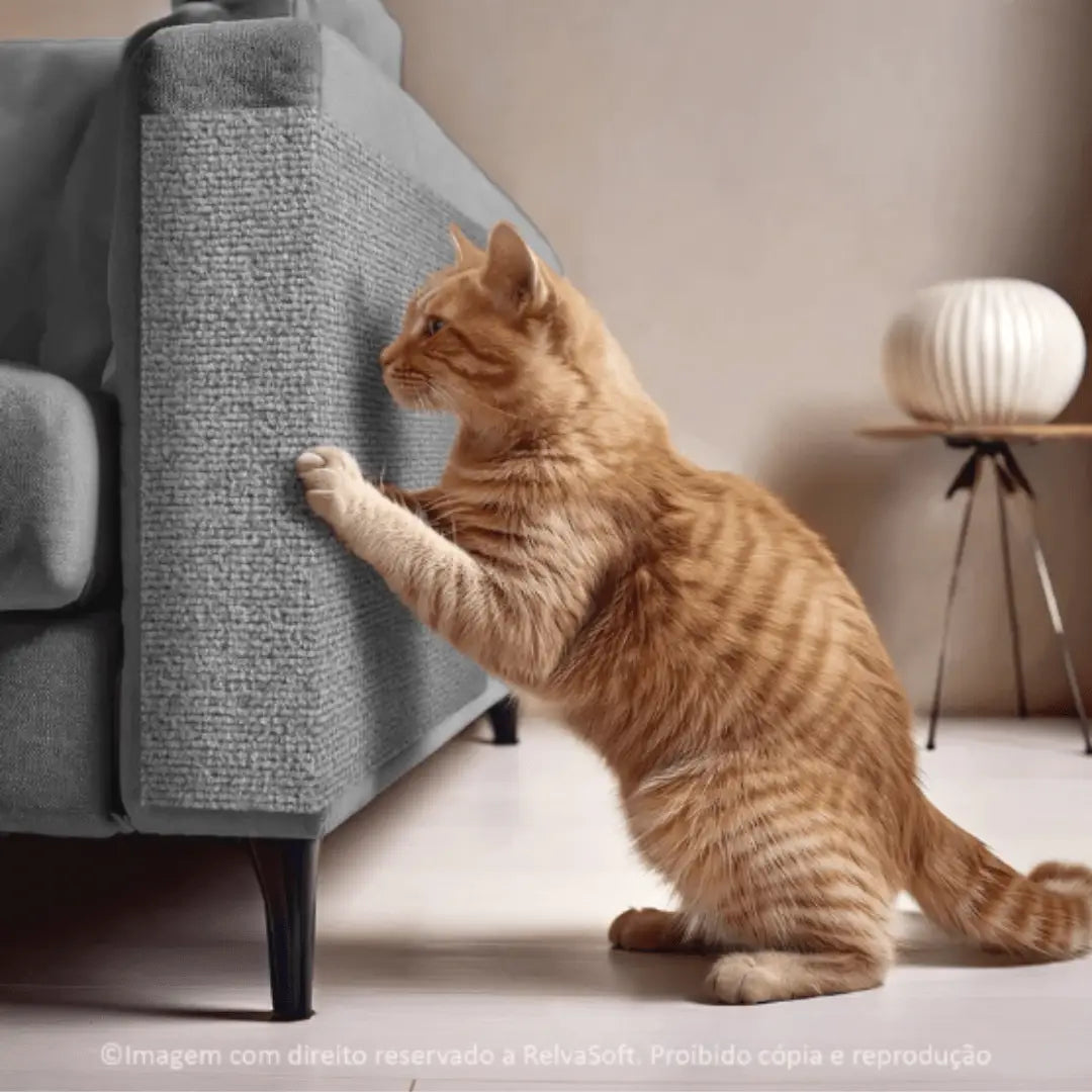 Arranhador Adesivo para Gato – Protetor de Sofá Cama e Móveis em Carpete Premium Caprioli Shop Acessórios Pets