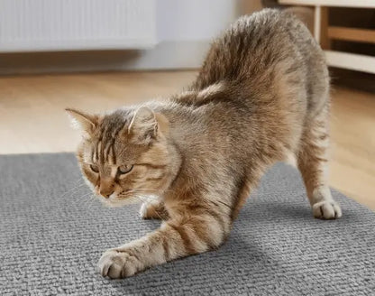 Arranhador Adesivo para Gato – Protetor de Sofá Cama e Móveis em Carpete Premium Caprioli Shop Arranhadores gatos CINZA