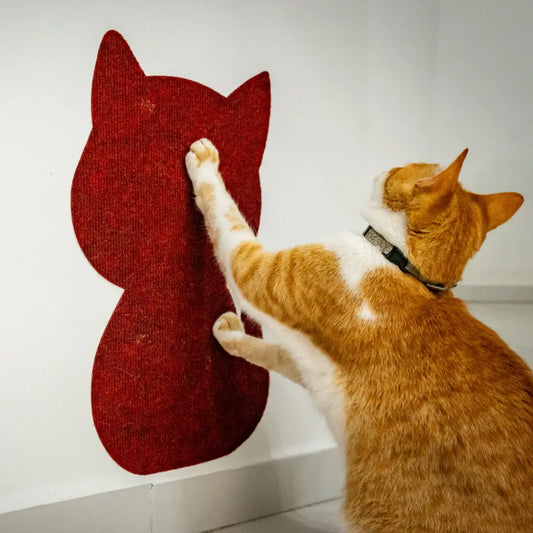 Arranhador adesivo para gatos em carpete durável –Caprioli Shop Arranhadores