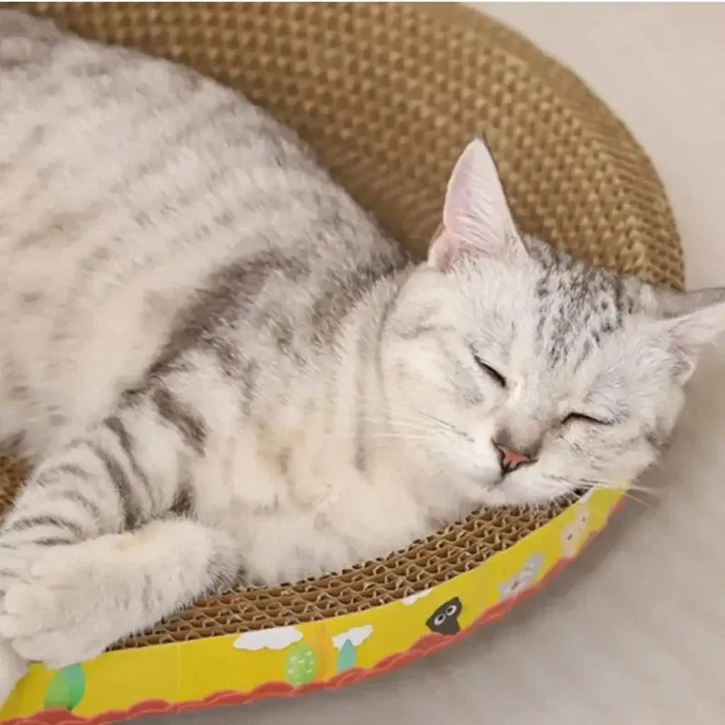 Arranhador para Gatos em Papel Golfado – Protege Móveis | Caprioli Inter Arranhadores gatos