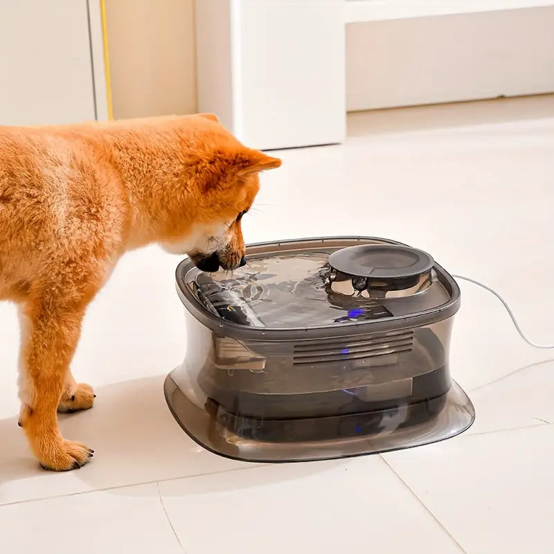 Bebedouro Automáticao 4.5L para Cães com Bomba Silenciosa USB | Caprioli Inter bebedouro cachorro