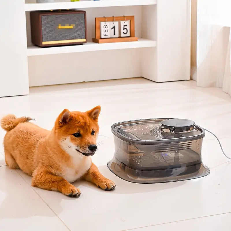 Bebedouro Automáticao 4.5L para Cães com Bomba Silenciosa USB | Caprioli Inter bebedouro cachorro