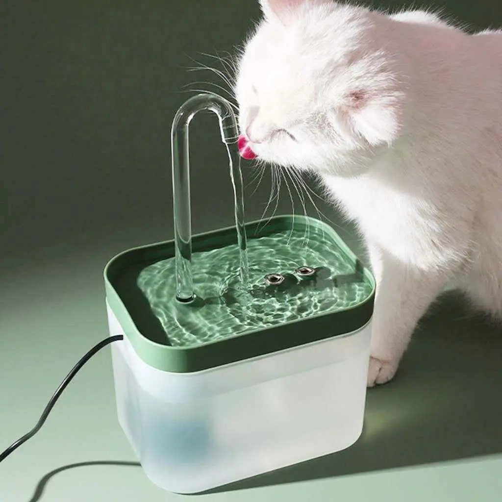 Bebedouro Automático Elevado para Pets 1.5L Hidratação Premium | Caprioli Inter bebedouro gato Bebedouro + cartucho