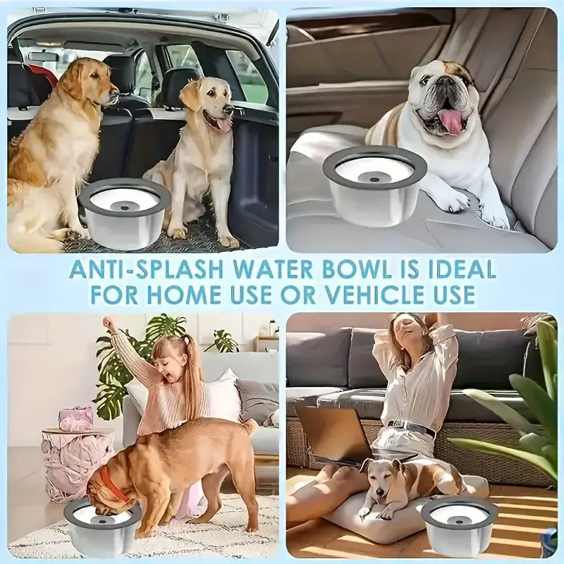 Bebedouro para Cães em Aço Inoxidável Prova de Respingos| | Caprioli Inter