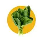 Bifinho Bilisko Maçã/Cenoura para Cães 800g Sabor Premium | Caprioli Shop petisco cachorro