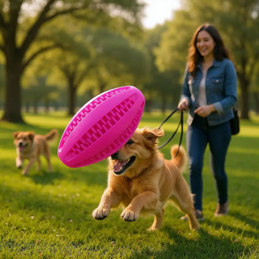 Bola Interativa para Cães TPR Resistente e Colorida | Caprioli Shop brinquedos cães