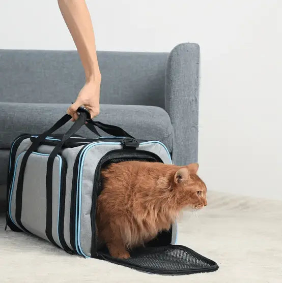 Bolsa Pet Expansível para Viagens Seguras e Confortáveis | Caprioli Shop bolsa de transporte