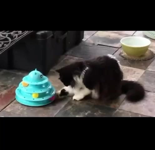 Interactive Cat Tower - Fun and Stimulation | Caprioli - Main View