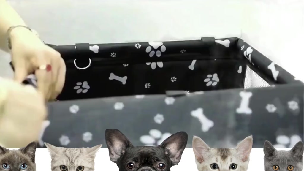 Pet Booster Car Seat - Comfort and Safety | Caprioli - Main View