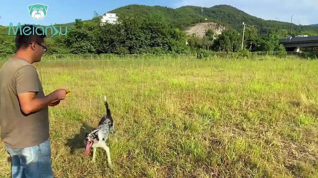 Dog Frisbee - Outdoor Fun | Caprioli - Main View