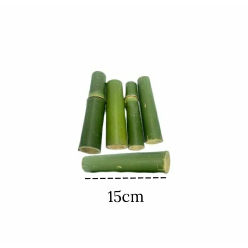 Brinquedo Bambu Natural Roedores 10un | Dentes Saudáveis Hamster Coelho | Caprioli Shop