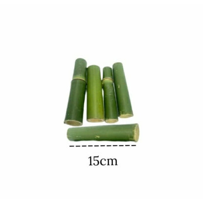 Brinquedo Bambu Natural Roedores 10un | Dentes Saudáveis Hamster Coelho | Caprili Shop