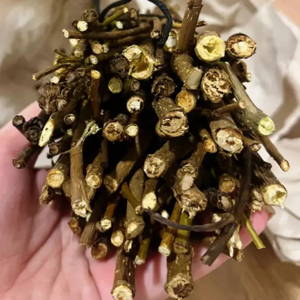 Natural Organic Blackberry Branches - Enrichment and Health for Rodents and Birds - Premium Pet Product Caprili Shop
