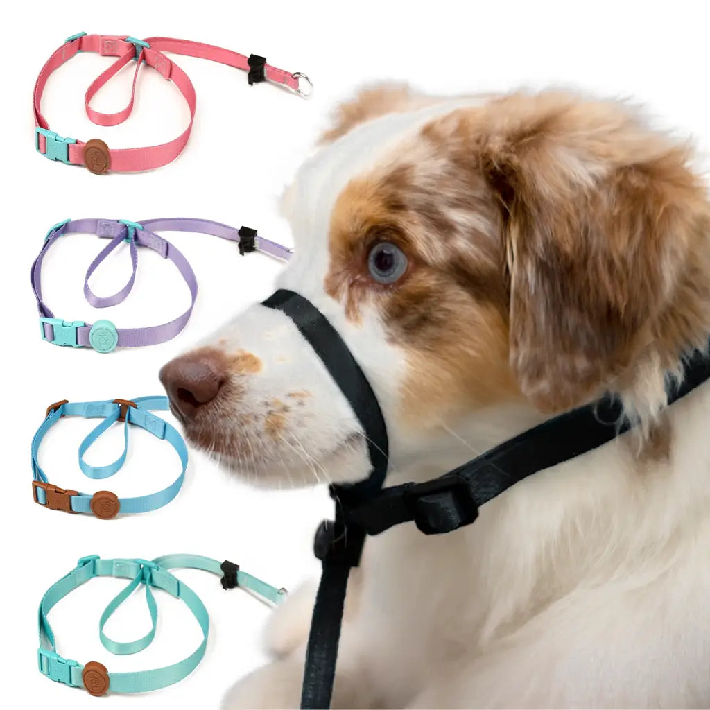 High Quality Pet Training Dog Halter Collar - Details