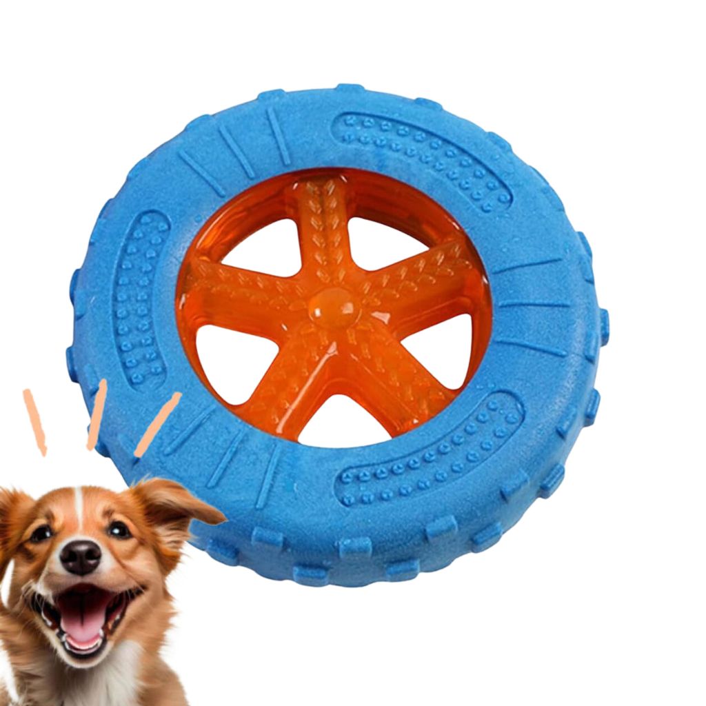 Brinquedo Disco Colorido para Pets - Diversão e Bem-Esta | Caprioli