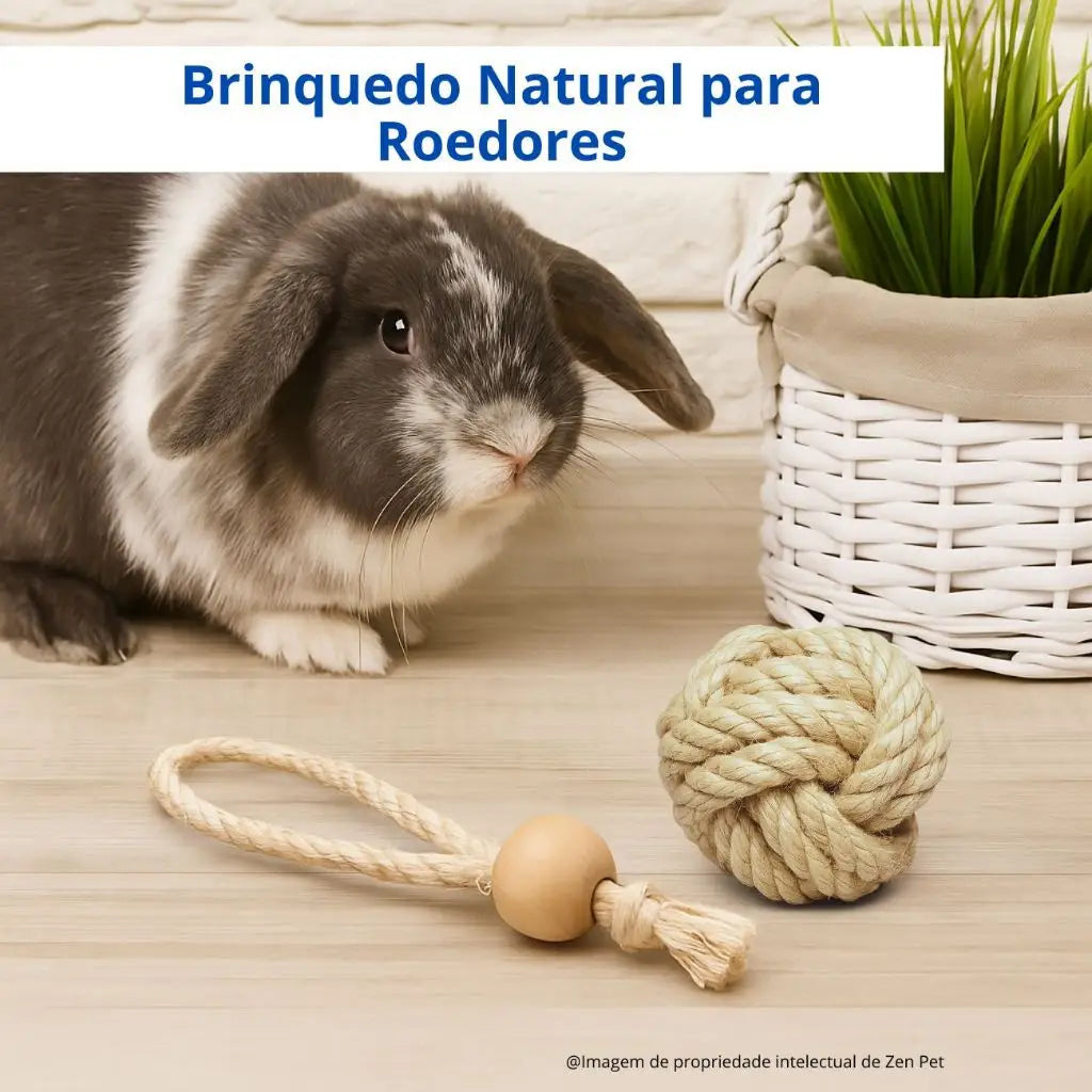 Brinquedo Para Coelhos Natural Sisal + Pinus | Desgaste Saudável Dentes Roedores | Caprioli Inter