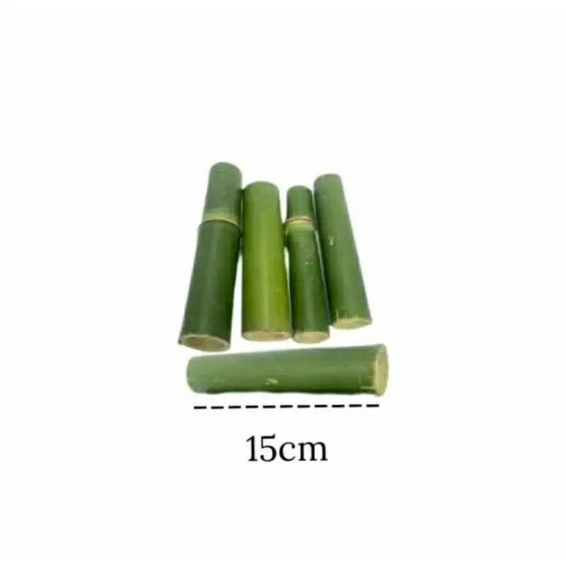Brinquedo Bambu Natural Roedores 10un | Dentes Saudáveis Hamster Coelho | Caprioli Shop Brinquedos para roedores