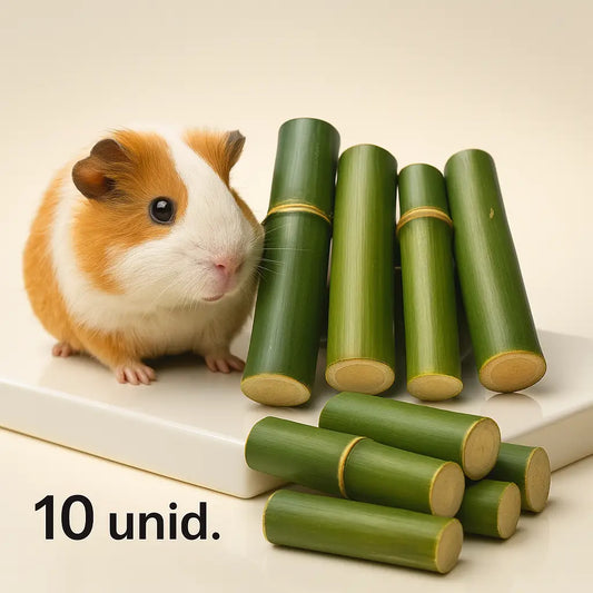 Brinquedo Bambu Natural Roedores 10un | Dentes Saudáveis Hamster Coelho | Caprioli Shop Brinquedos para roedores