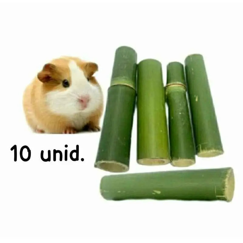 Brinquedo Bambu Natural Roedores 10un | Dentes Saudáveis Hamster Coelho | Caprioli Shop Brinquedos para roedores