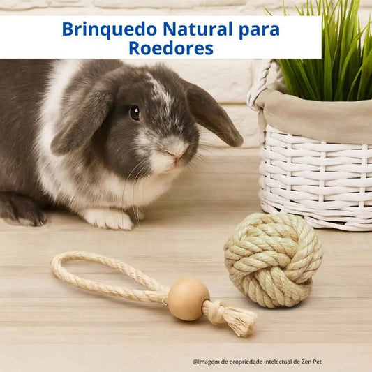 Brinquedo Para Coelhos Natural Sisal + Pinus | Desgaste Saudável Dentes Roedores | Caprioli Inter para roedores