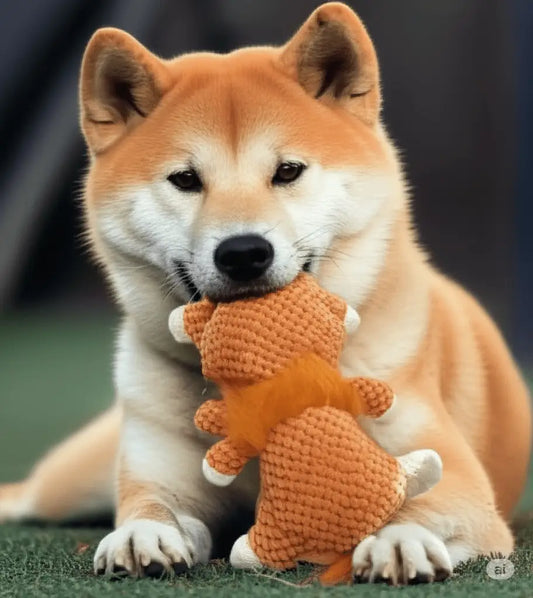 Brinquedo Interativo para Cães Pelúcia Resistente e Divertido | Caprioli Inter brinquedo cães