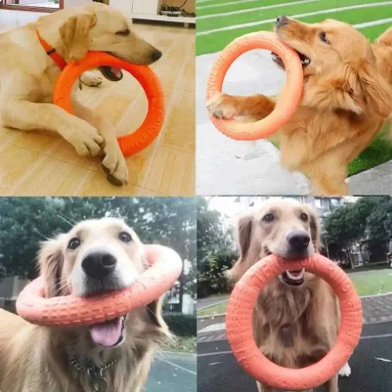 Brinquedo Interativo Disco EVA Resistente Limpa Dentes | Caprioli Inter brinquedo para cachorro