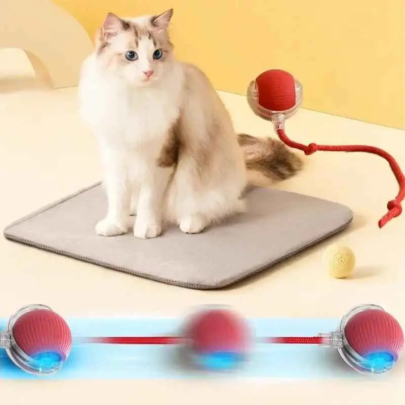 Brinquedo Interativo Gato Bola Elétrica USB Silenciosa | Caprioli Shop brinquedo para gatos
