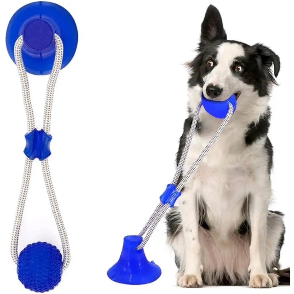 Brinquedo Mordedor Interativo para Cães - Ventosa Grudável | Caprili Shop
