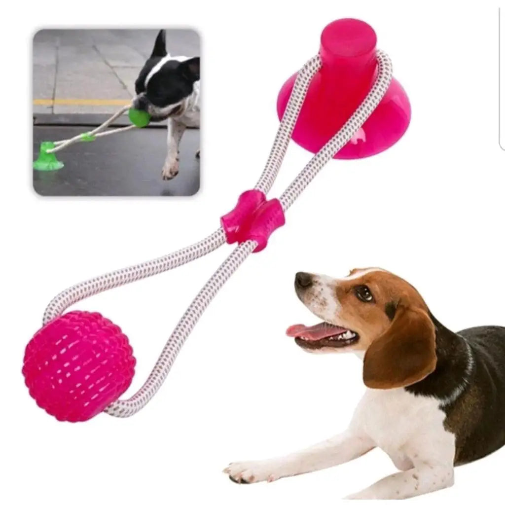 Brinquedo Mordedor Interativo para Cães - Ventosa Grudável | Caprili Shop