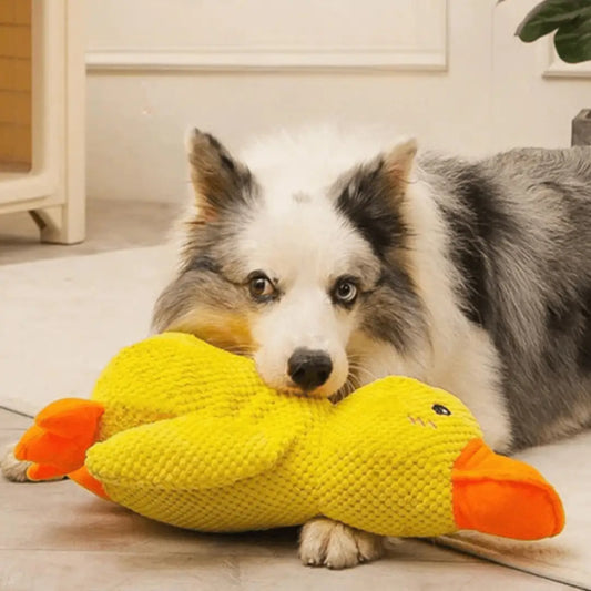 Brinquedo de pelúcia pato para cães Conforto e diversão | Caprioli Inter brinquedo