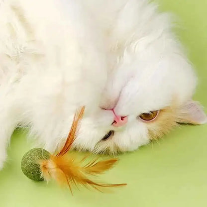 Brinquedos de Catnip para Gatos Saúde e Diversão | Caprioli Shop brinquedos gatos 1PC