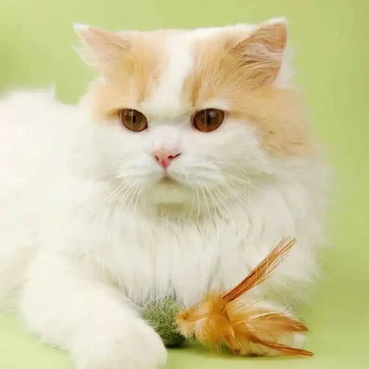 Brinquedos de Catnip para Gatos - Saúde e Diversão | Caprioli Shop - 1PC - brinquedos para gatos