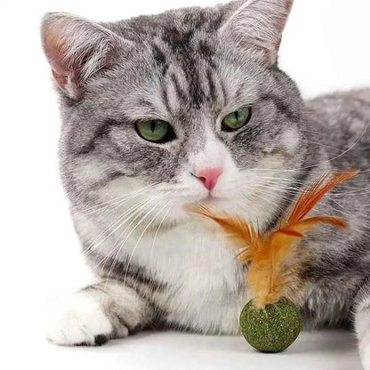 Brinquedos de Catnip para Gatos Saúde e Diversão | Caprioli Shop brinquedos gatos 1PC