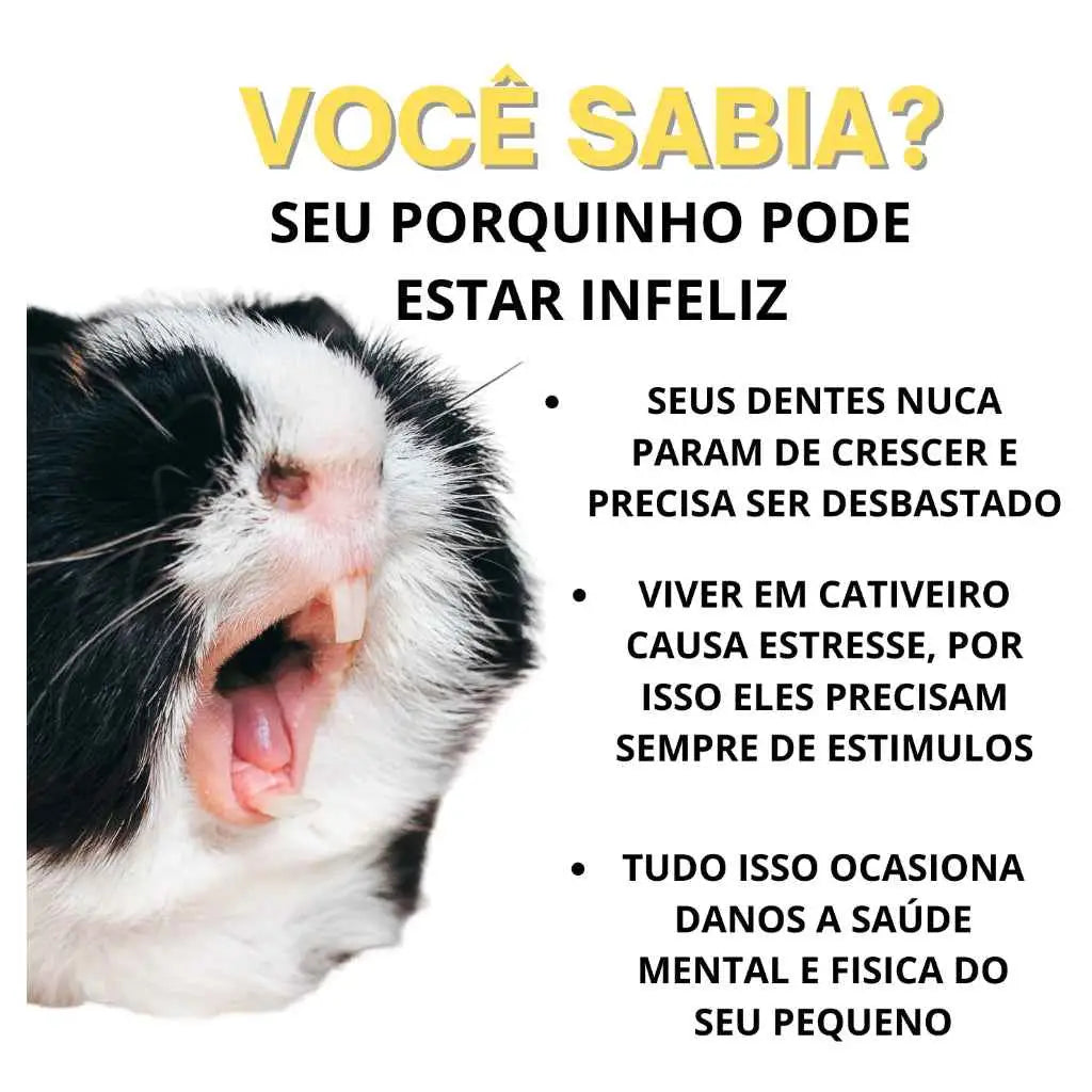 Brinquedos Naturais Premium para Roedores e Calopsitas Saúde Lazer | Caprioli Shop Acessórios gaiola