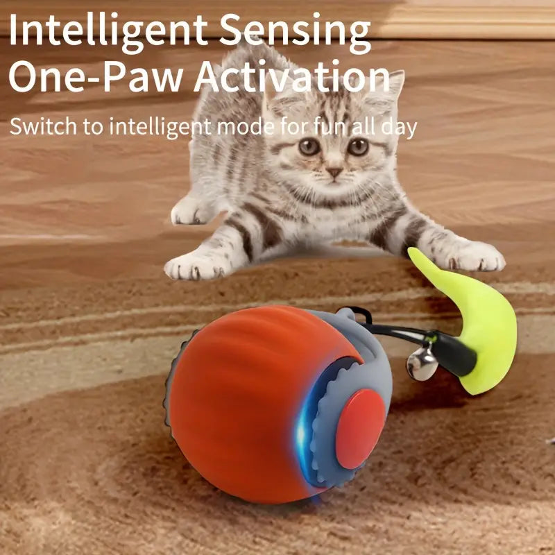 Brinquedo Elétrico para Gatos Estímulo e Diversão | Caprioli Shop