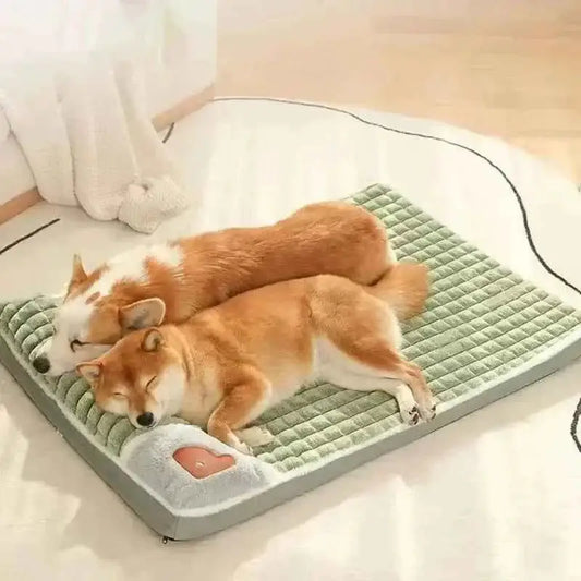 Cama Ortopédica Lavável para Pets Conforto Premium | Caprioli Inter Acessórios