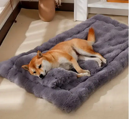 Cama de Pelúcia para Cães - Cores Sortidas | Caprili Inter - caminha e casinha cachorro