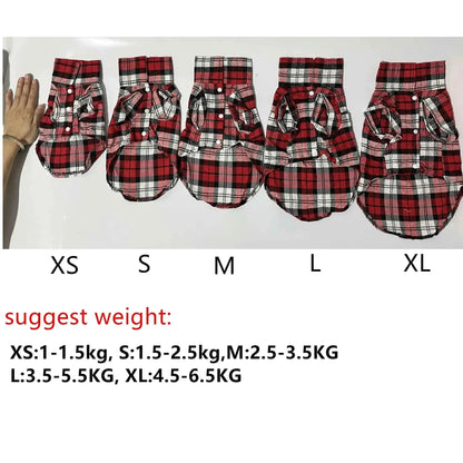 Casaco xadrez sofisticado para Gatos | Caprioli Shop Acessórios Pets