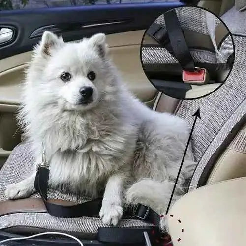 Cinto de Segurança Ajustável para Pets Viagens Seguras | Caprioli Shop