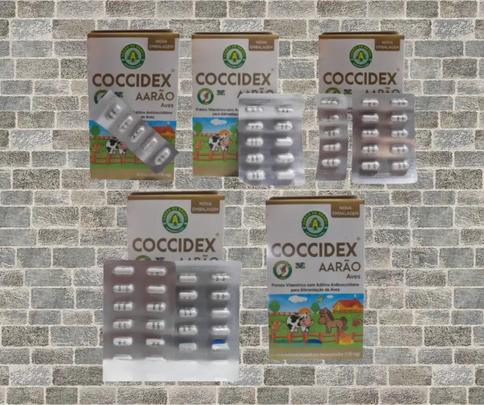 Coccidex Aves - Prevenção da Coccidiose - Aditivo Anticoccidiano | Caprili Shop - medicamento para passaro