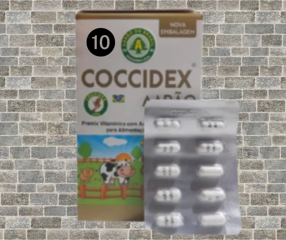 Coccidex Aves - Prevenção da Coccidiose - Aditivo Anticoccidiano | Caprili Shop - medicamento para passaro - 10 Cápsulas