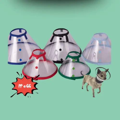 Colar Elizabetano Premium Colorido para Pets | Caprioli Shop colar elizabetano cachorro