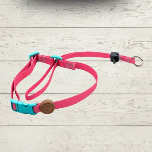 Coleira Cabresto Antipuxão para Cães Controle Elegante | Caprioli Shop Acessórios Pets Fiji / P