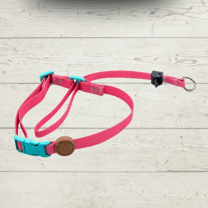 Coleira Cabresto Antipuxão para Cães Controle Elegante | Caprioli Shop Acessórios Pets Fiji / P