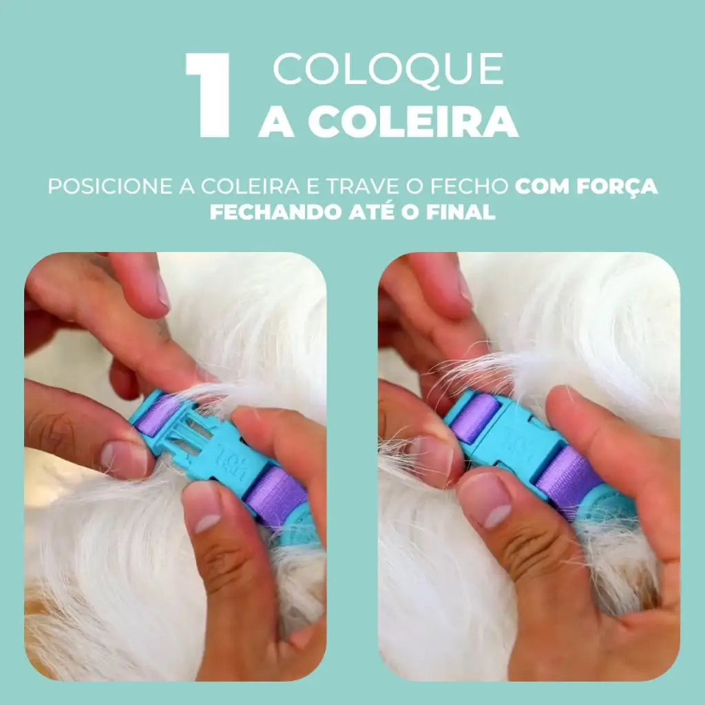 Coleira Cabresto Antipuxão para Cães Controle Elegante | Caprioli Shop Acessórios Pets
