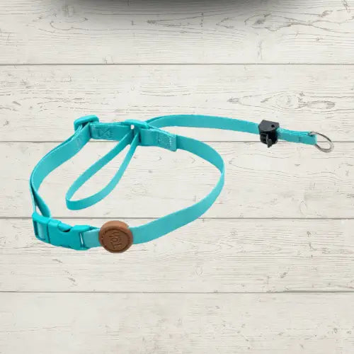 Coleira Cabresto Antipuxão para Cães Controle Elegante | Caprioli Shop Acessórios Pets Maresia / P